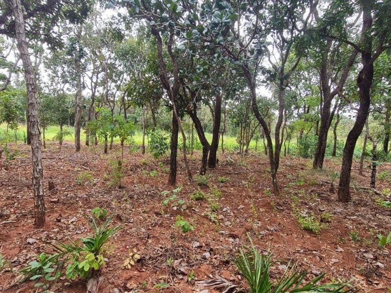 Próximo ao Lieu Unique